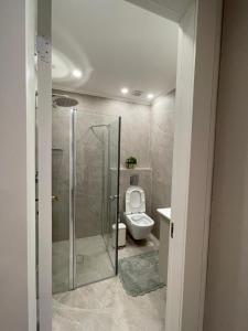 a bathroom with a toilet and a glass shower at Malka Suites in Beit Shemesh +3 photos