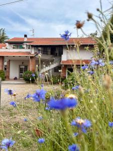 a house with blue flowers in front of it at Il Sogno di Tebà in Fubine