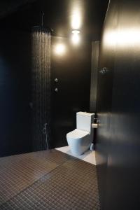 a bathroom with a toilet and a shower stall at Cosmo Camp in Montepescali +36 photos