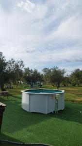 a swimming pool in the middle of a park at Lodge das Taipas in Santo Amaro