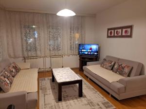 a living room with two couches and a television at Apartment in Pale in Pale