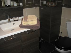 a bathroom with a sink and a toilet at La brèche fleurie in Cricquebœuf