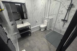 a bathroom with a shower and a toilet and a sink at La nuit nocturne in Bolbec