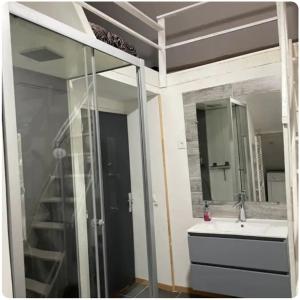 a bathroom with a shower and a sink and a mirror at Maison avec jacuzzi in Vierzon