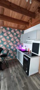 a kitchen with a stove and a wall with flowers at Flyby pole studio in Béziers