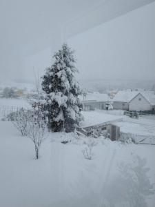 a snow covered christmas tree in a snowy field at Haus Orleander in Rehgraben