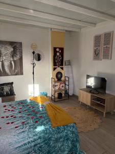 a bedroom with a large bed and a tv at Atico Dolce Natura in Arrecife