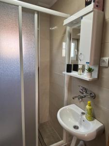 a bathroom with a sink and a shower at Tara Nest in Kaludjerske Bare +27 photos