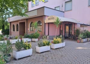 a hotel with potted plants in front of a building at Hotel Rose&Crown in Correggio
