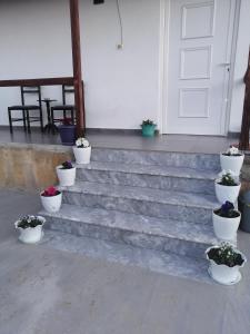 a group of potted plants sitting on steps in front of a door at Holiday house in Laknas
