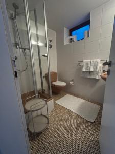 a bathroom with a shower and a toilet and a stool at Ferienhaus Rotzinger in Hinterzarten +25 photos