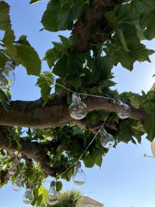 a tree with lots of glass globes hanging from it at Escales du Sud, Frontignan Plage in Frontignan