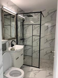 a bathroom with a shower and a toilet and a sink at Apartament ICAS 2 in Dej