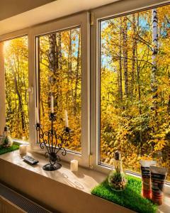 a window with a view of the autumn trees at Apfelhaus Poiana Marului in Poiana Mărului