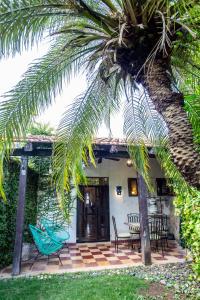 a patio with a palm tree and a table and chairs at Historical Green House Campeche in Campeche