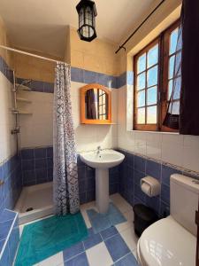 a bathroom with a sink and a shower and a toilet at Stella & Stone Guesthouse in Għarb +38 photos