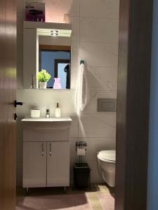 a bathroom with a sink and a toilet at Jefimija Apartman Sokobanja in Soko Banja +24 photos