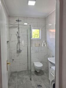 a bathroom with a shower and a toilet and a sink at Apartment Relax in Stolac +53 photos