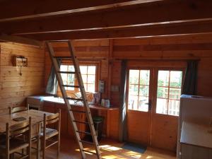 a kitchen with a ladder in a cabin at Chalet l'écureuil in Treigny