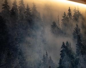 a painting of a misty forest with pine trees at Sohana Chalet I Design I Apartment and Guest Rooms I Sauna I AC in Kappel-Grafenhausen