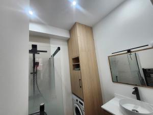 a bathroom with a shower and a sink and a mirror at Charming cozy nest - old town in Annecy