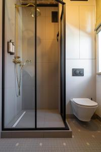 a shower stall in a bathroom with a toilet at apartamenty64200 in Wolsztyn +23 photos