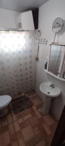 a bathroom with a shower and a toilet and a sink at Cabaña Dos Pinos in Durazno