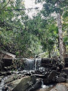 a waterfall in the middle of a forest with trees at Whoopers Hostel Chiang Mai - Harry Potter Themed in Chiang Mai