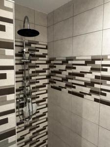 a bathroom with a shower with a shower head at Gîte au Petit Café in Châteauvillain +23 photos