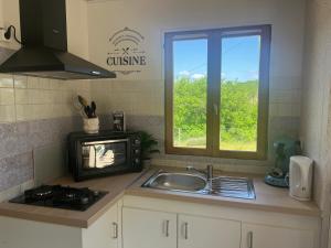 a kitchen with a sink and a microwave and a window at Le petit coin du pêcheur in Brouchaud