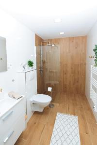 a bathroom with a shower and a toilet and a sink at KB House apartman in Malý Horeš +22 photos