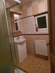 a small bathroom with a sink and a mirror at Apartmán na statku NH Stables in Nýřany +29 photos