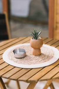 a small plant in a pot on a table at Casa Arte in Ulcinj