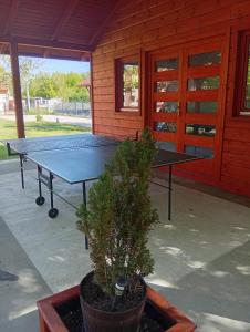 a ping pong table in front of a house at Számadó Vendégház in Poroszló