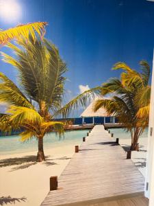 a wooden pathway on a beach with palm trees at Blue Cottage Bruxelles Sud in Wavre