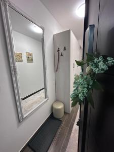 a bathroom with a mirror on the wall and a toilet at Adagio Apartmani in Vrnjačka Banja +62 photos