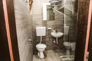 a small bathroom with a toilet and a sink at Modra Rijeka Resort in Glavatičevo