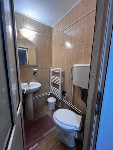 a small bathroom with a toilet and a sink at Casa Iuly in Gârda de Sus