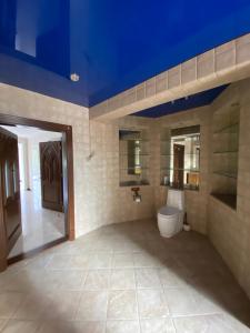 a bathroom with a toilet and a blue ceiling at Castle Apartments in Schaslyve +40 photos