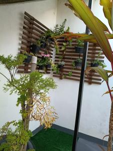 a room with potted plants on a wall at Apartamento Indaiatuba in Indaiatuba +13 photos