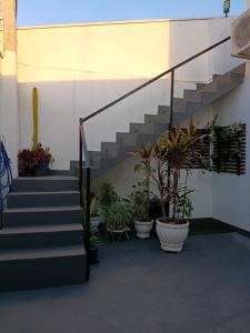 a staircase with potted plants in a building at Apartamento Indaiatuba in Indaiatuba