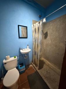 a blue bathroom with a toilet and a sink at Aracari Stay in Quepos