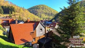 a small town in a valley with a mountain at Arode Lodge Blick auf Zorge - Mountain Lodge with Panoramic Views in Zorge