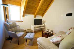 a living room with a couch and a tv at Casa Azzurra - Spacious apartment in the heart of Julian Alps in Cave del Predil
