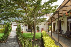 a courtyard of a house with a tree at Posada Tierra Viva - Villa de Leyva in Villa de Leyva