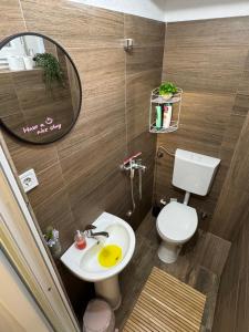 a bathroom with a toilet and a sink and a mirror at Apartments Veljanov - Sofra in Negotino +55 photos