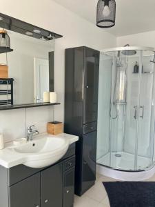 a bathroom with a sink and a shower at Abri 82 in Picauville +14 photos
