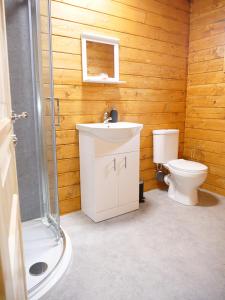 a bathroom with a toilet and a sink and a shower at Alpaca My Bags! at Andean Alpacas in Mullingar