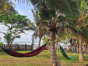a hammock hanging from two palm trees next to the beach at Playa VICTORIA in Arboletes