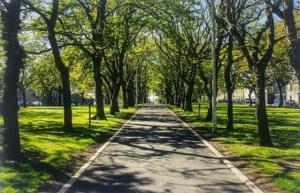 a path in a park with trees and grass at Modern Two- bedroomed flat in Wick, Caithness in Wick